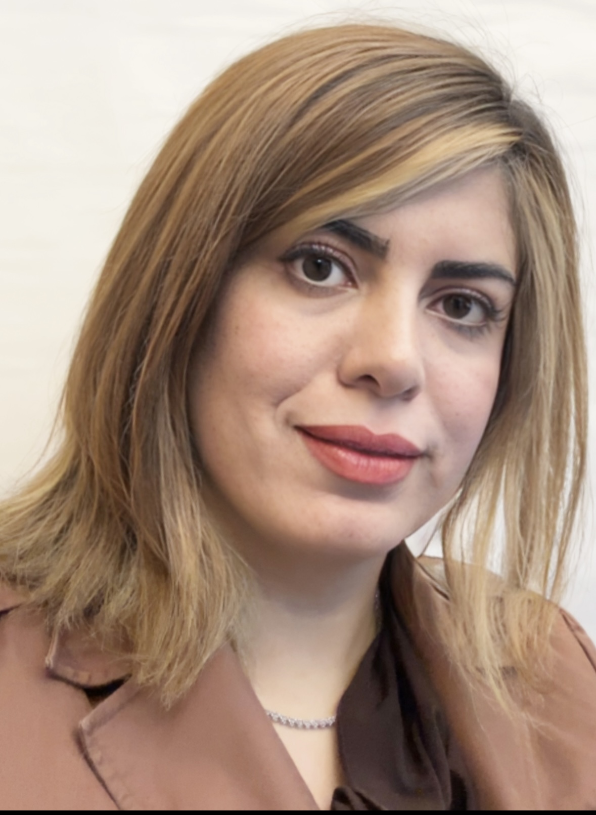 Dr. Sara Haseli