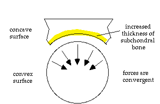 Concave Convex 2