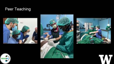 A slide which reads: peer teaching. Three photos depict doctors looking intently at something; doctors discussing something over a patient; and doctors conducting a procedure. 