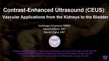 "Contrast-Enhanced Ultrasound (CEUS): Vascular Applications from the Kidneys to the Bladder" by Saubhagya Srivastava, MBBS